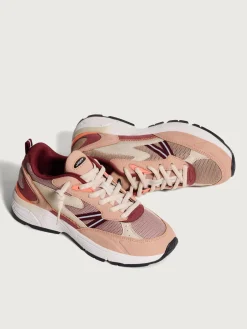 Outlet ARKANSAS Damen State