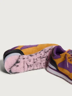 New MODENA Damen City